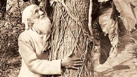 Chipko Movement | Remembering Sunderlal Bahuguna, leader of the Chipko ...