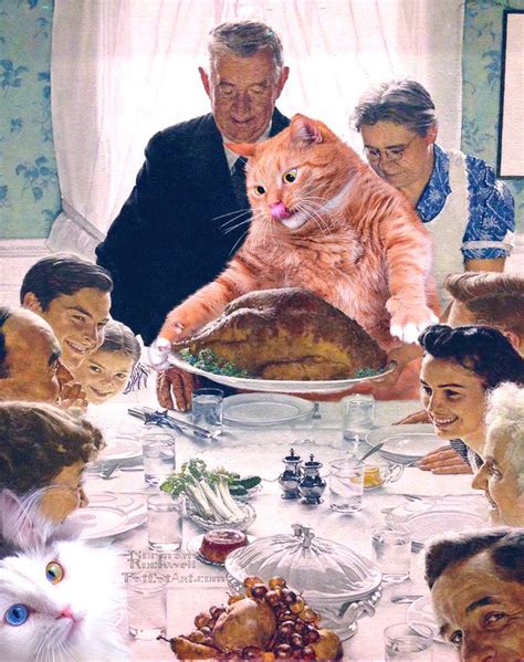 Best Thanksgiving memes as Americans joke about gathering with families ...