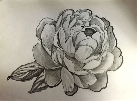 Flowers Drawing With Pencil Shading | Best Flower Site