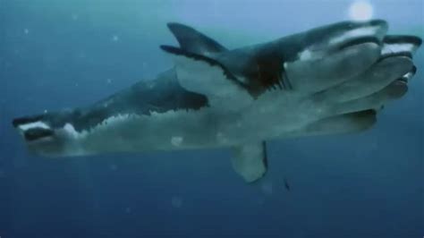 Mutant Shark (5-Headed Shark Attack) | Non-alien Creatures Wiki ...