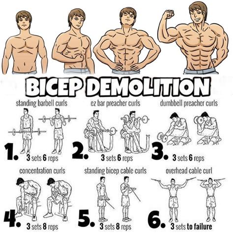 Pin by Gym Training MoPower on Gym Training | Big biceps workout ...