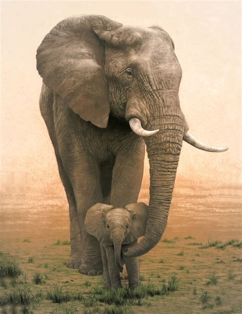 Mother Elephant and Baby/Animal Poster/Illustration/Africa/ 17x22 inch ...