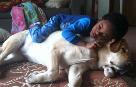 Dogs And Babies Sleeping Are What The World Needs Now | HuffPost