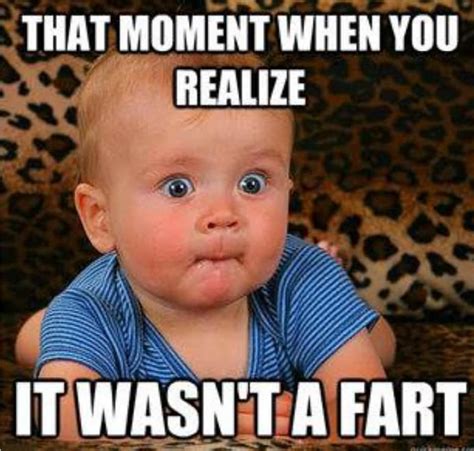 40 Most Funniest Fart Memes That Will Make You Laugh Hard