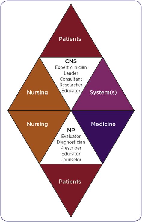 Nursing Conceptual Framework Model