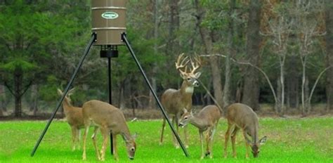 Pin on How To Make Deer Feeder