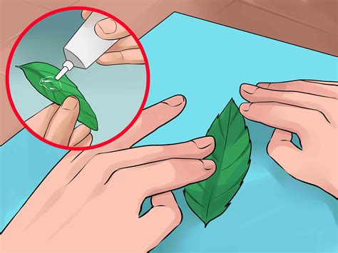 3 Ways to Decorate with Leaves - wikiHow