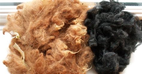 from fuzz to finished: ANIMAL FIBRES (part 1)