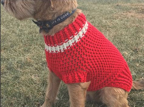 Easy Crochet Dog Sweater for Small Dogs - Garcia Dentoorse