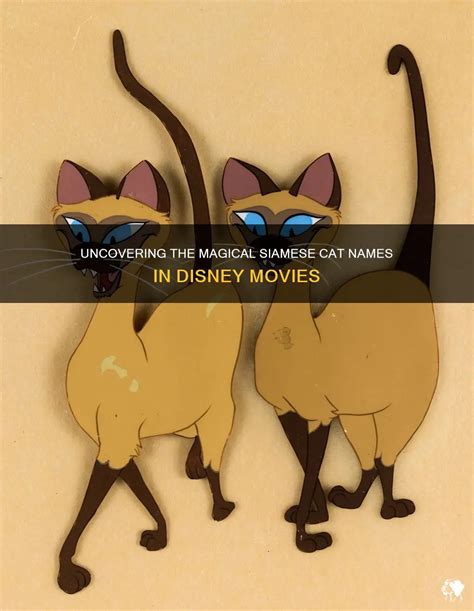 Uncovering The Magical Siamese Cat Names In Disney Movies | PetShun