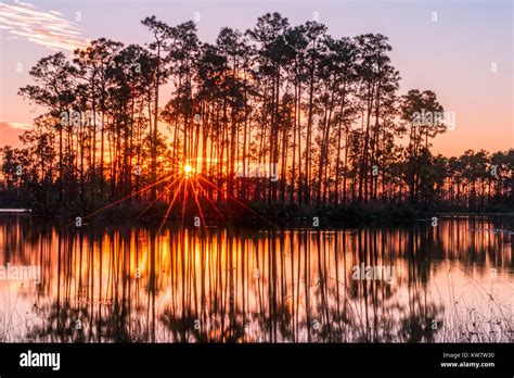 Sunset in the everglades of florida Stock Photo - Alamy