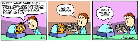 10 Funniest Garfield Comics Starring Nermal