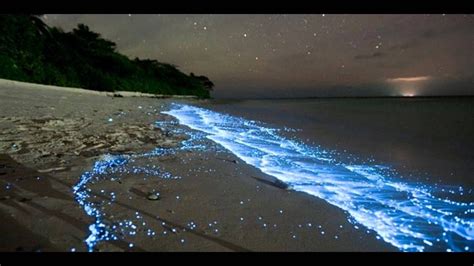 Maldive, il mare di notte si trasforma in un campo di stelle brillanti ...