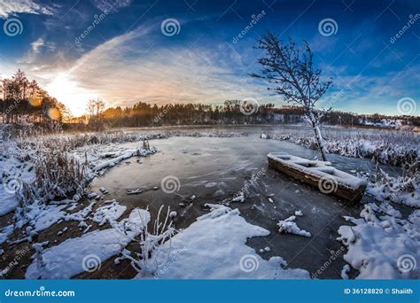 Sunrise in Winter Lake Covered with Snow Stock Photo - Image of ...