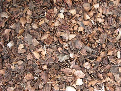 Pecan shell mulch | Rachael & Scott's yard | Michael and Sarah Braun ...