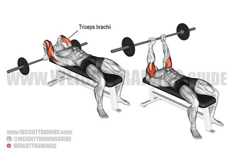 Lying barbell triceps extension exercise instructions and video