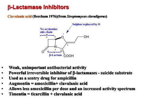 PPT - b - Lactamase Inhibitors PowerPoint Presentation, free download ...