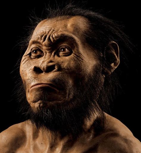 Primitive hominid lived alongside modern humans | Hominid, Ancient ...