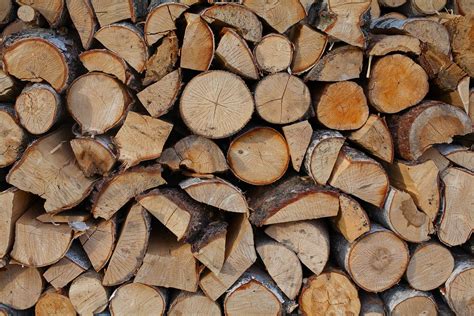 Glossary of Terms – Logs & Firewood Terminology