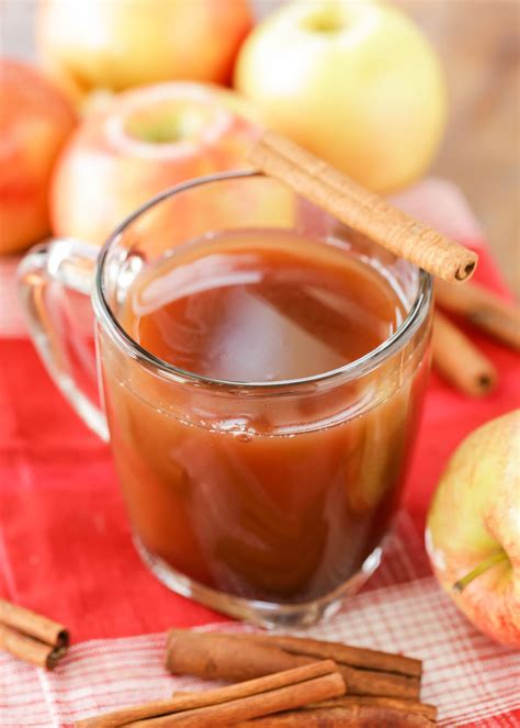 The BEST Homemade Hot Apple Cider Recipe | Lil' Luna