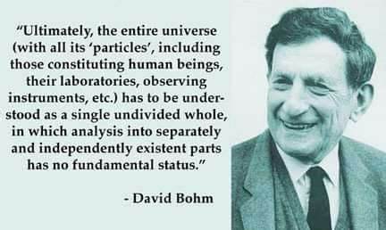 Sympathetic Vibratory Physics | David Bohm