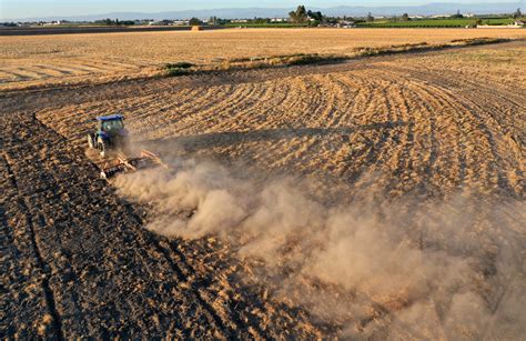 As California’s Drought Worsens, the Biden Administration Cuts Water ...