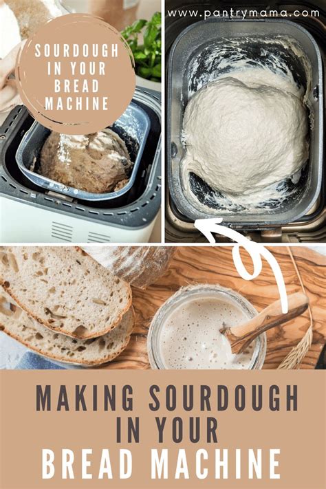 Best Bread Machine Sourdough Recipe No Yeast | Recipe | Bread machine ...