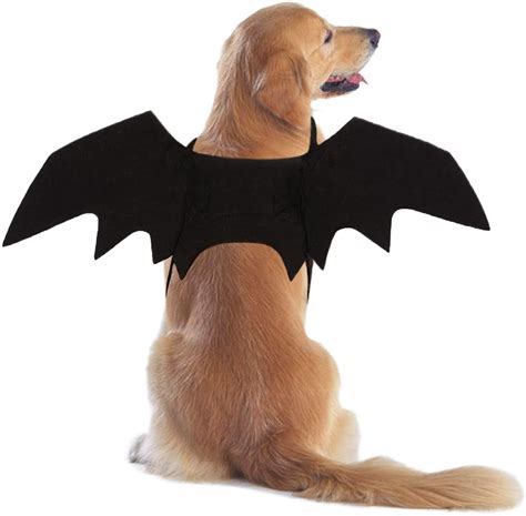 √ How to make bat wings halloween costume for a dog | gail's blog