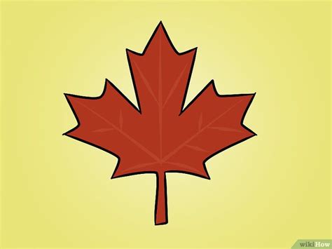 maple leaf drawing step by step - Mischievous Logbook Picture Library