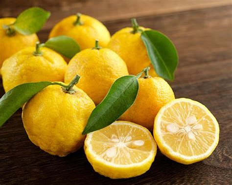 Yuzu | Description, Banned Fruits, Uses, & Health Benefits | Britannica