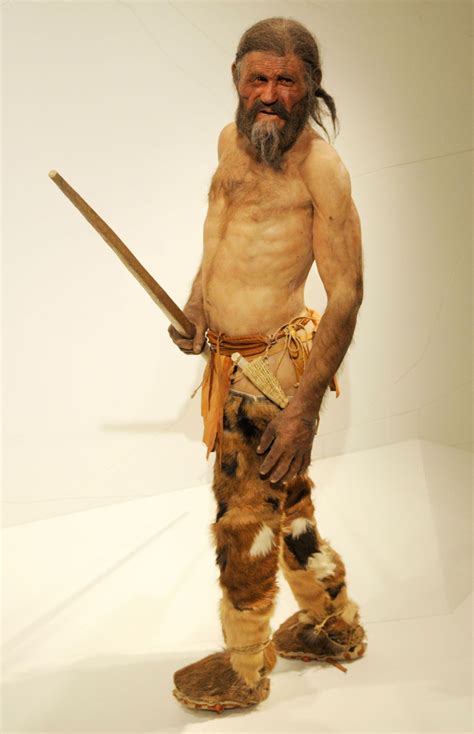 Otzi The Iceman Tools