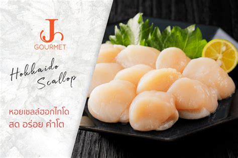 J Gourmet Hokkaido Scallop หอยเชลล์ฮอกไกโด สด อร่อย คำโต Affordable Premium