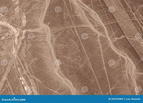 Nazca Lines, Aerial View, Peru Stock Image - Image of lines, hardwood ...