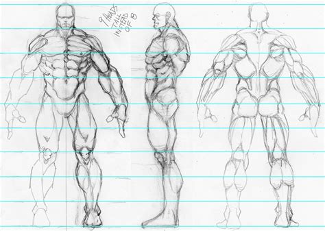 Muscles | Proporções humanas, Modelagem de personagens, Exercícios de ...