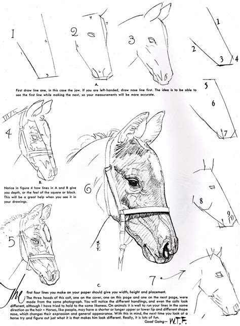 how to draw a horse step by step - Yahoo Image Search Results | Horse ...