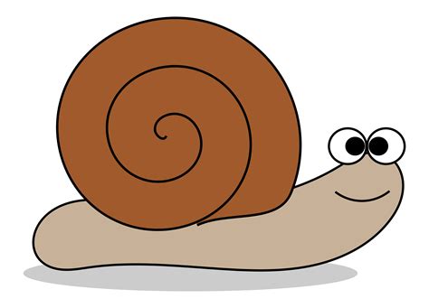 Snail clip art free clipart images 5 - Clipartix