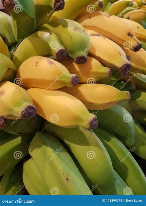 Apple Banana stock image. Image of philippines, common - 118290275