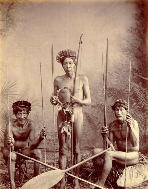 Indigenous Peoples of the Caribbean - Siboney, Locono, Gallabi/Ineri ...