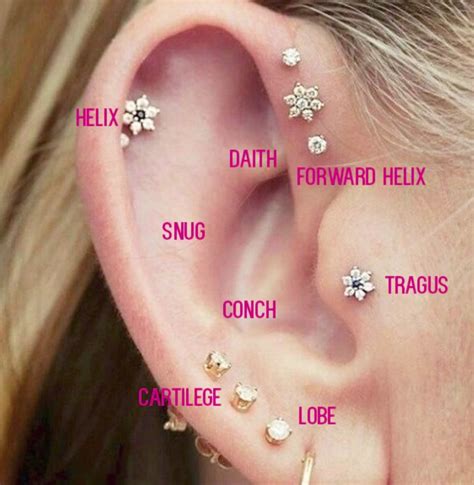 Map of ear piercings | Ear piercings, Unique ear piercings, Cool ear ...