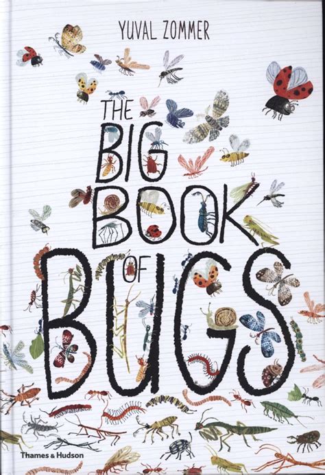 The Big Book of Bugs by Yuval Zommer – The Book Nook