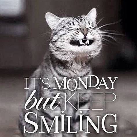 Happy Monday! 😁 | Morning quotes funny, Good morning funny, Funny good ...