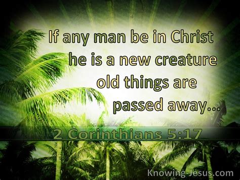 15 Bible verses about The New Creation