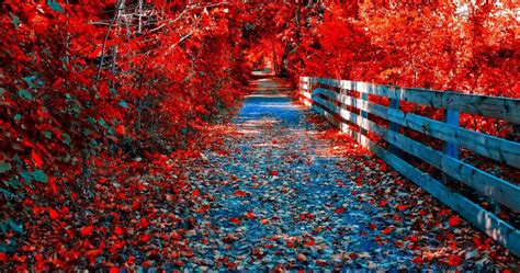 Red Autumn Wallpapers - Wallpaper Cave