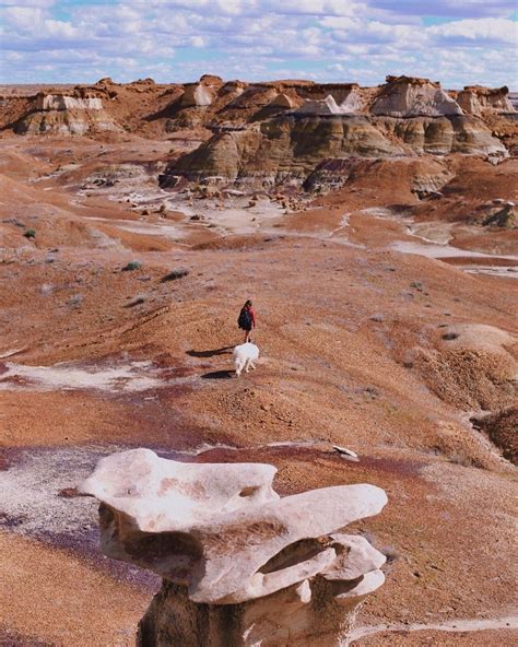 Bisti Wilderness: Explore Alien Landscapes