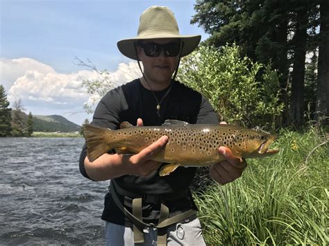 Madison River Fishing Report for 7/10/2017 - Madison River Outfitters