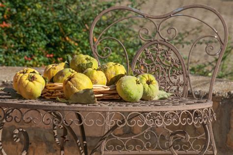 Quince: The Fall Fruit – Recette Magazine