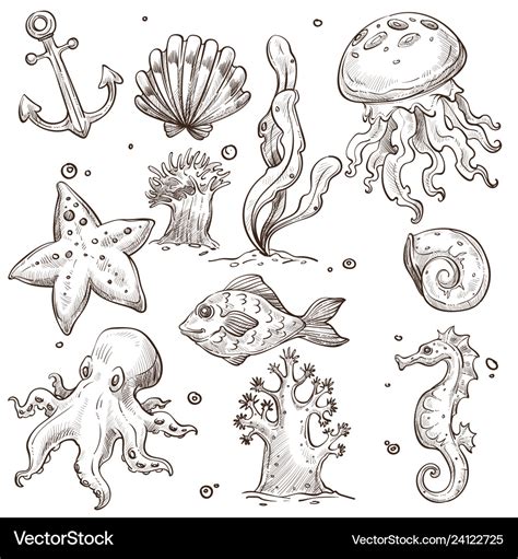 Underwater fish and creatures isolated sketches Vector Image