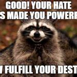 Evil Plotting Raccoon Meme Generator - Imgflip