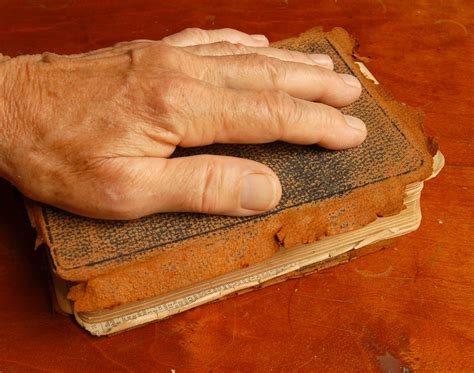 Hand on a bible Free Photo Download | FreeImages