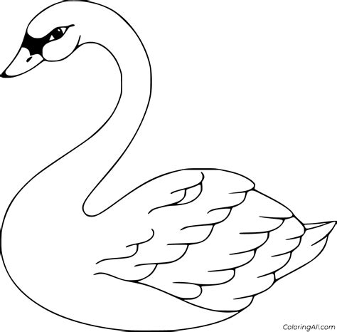 Swan Coloring Pages - ColoringAll